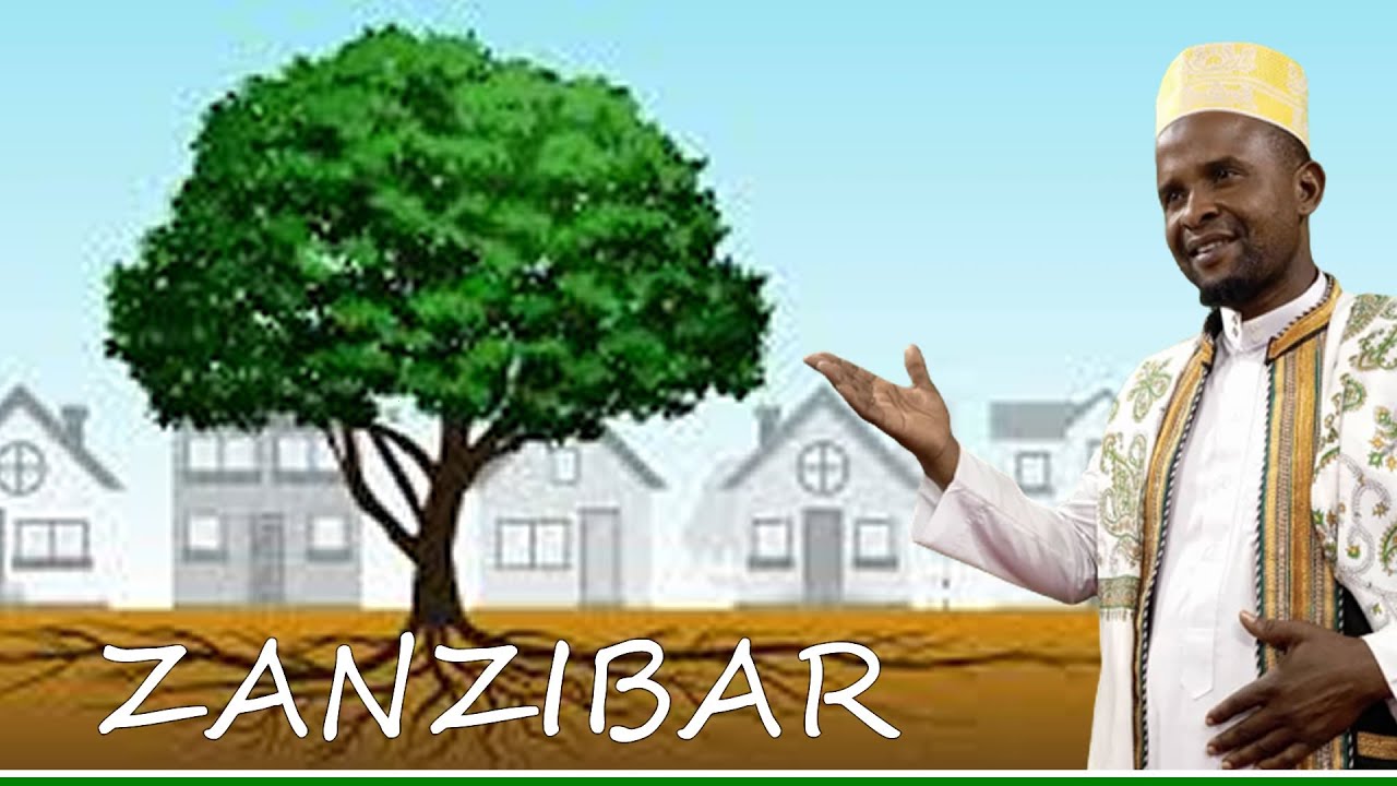 ZANZIBAR YAWA YA MAAJABU BAADA YA KIFIKIWA NA MTI MKUU
