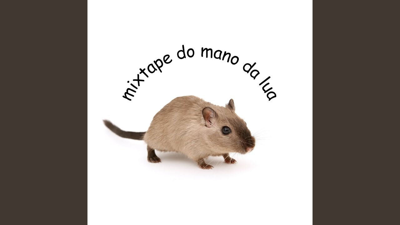 Tesouro nacional
