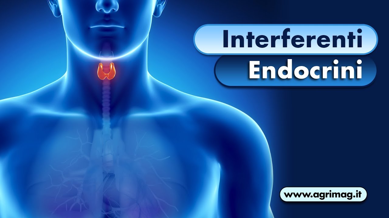 Pesticidi e Interferenti endocrini: l'effetto cumulativo e i problemi per la salute umana