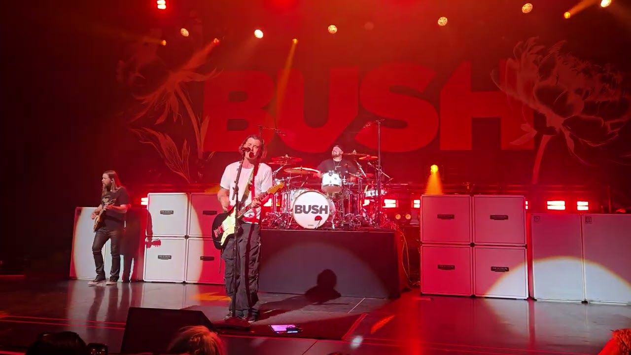 Bush - Comedown - Waterloo NY 2/21/26