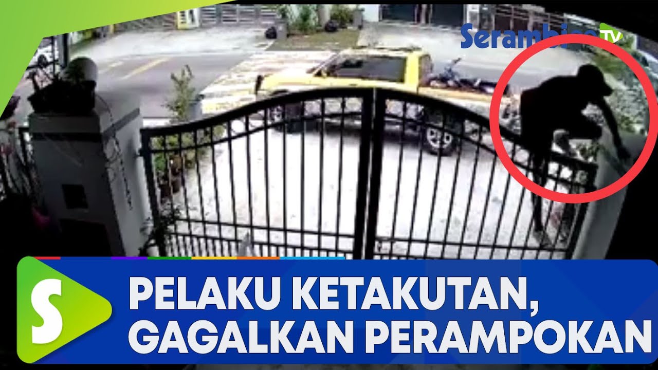 Viral Pengemudi Mobil Pacu Kendaraan Gagalkan Aksi Perampokan di Rumahnya, Pelaku Ketakutan