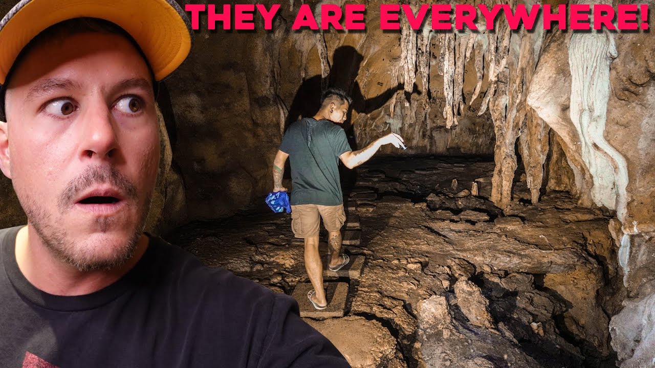 (POISONOUS SNAKES EVERYWHERE!) Terrifying Explore of Massive Cave in the Philippines Jungle 🇵🇭