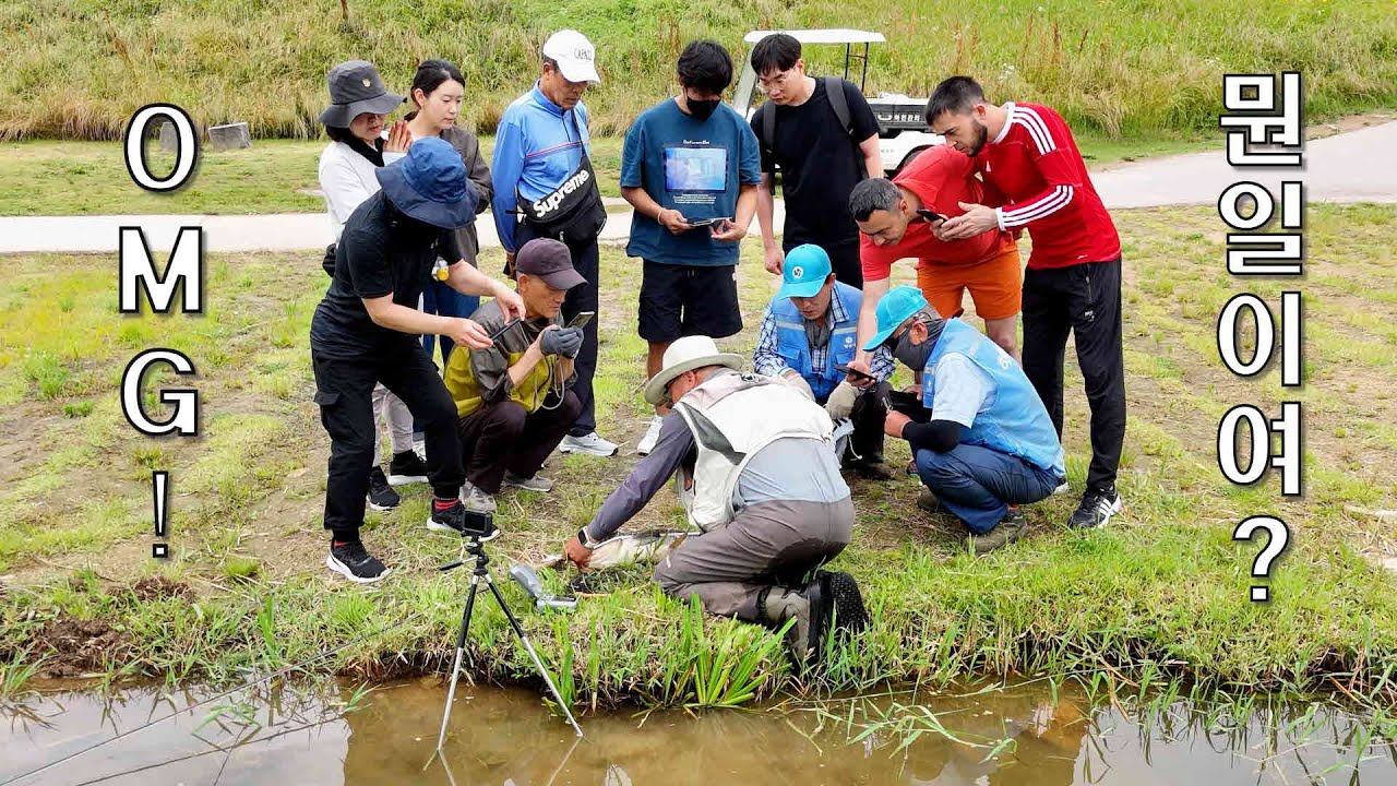 2024 fly fishing EP6 - 갤러리가 모여드는 잉어플라이낚시 . (Carp On The Fly 잉어 플라이 낚시)