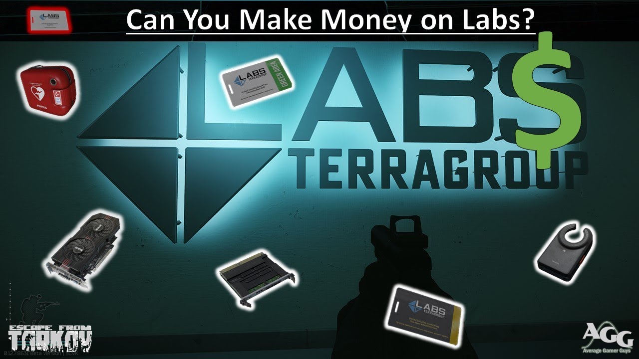 Can you Make Money on Labs? - A Social Experiment [Escape from Tarkov]