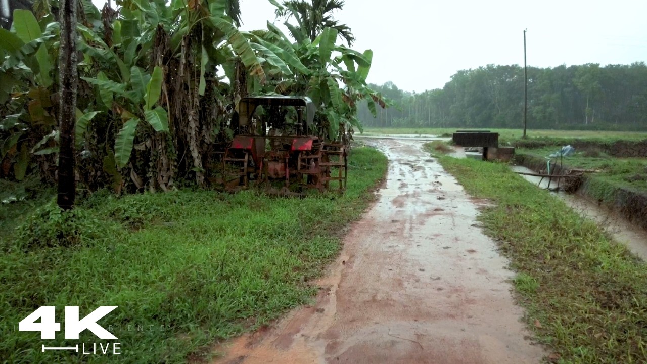 Fall Asleep Instantly :The Most Relaxing Rain Walk ☔ Beautiful Village Heavy Rain ASMR - No Ads