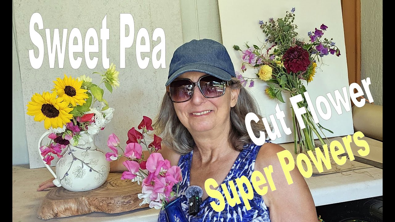 The Many Ways I Sell Sweet Peas at my Roadside Flower Wagon AND How I Use Them in My Custom Bouquets