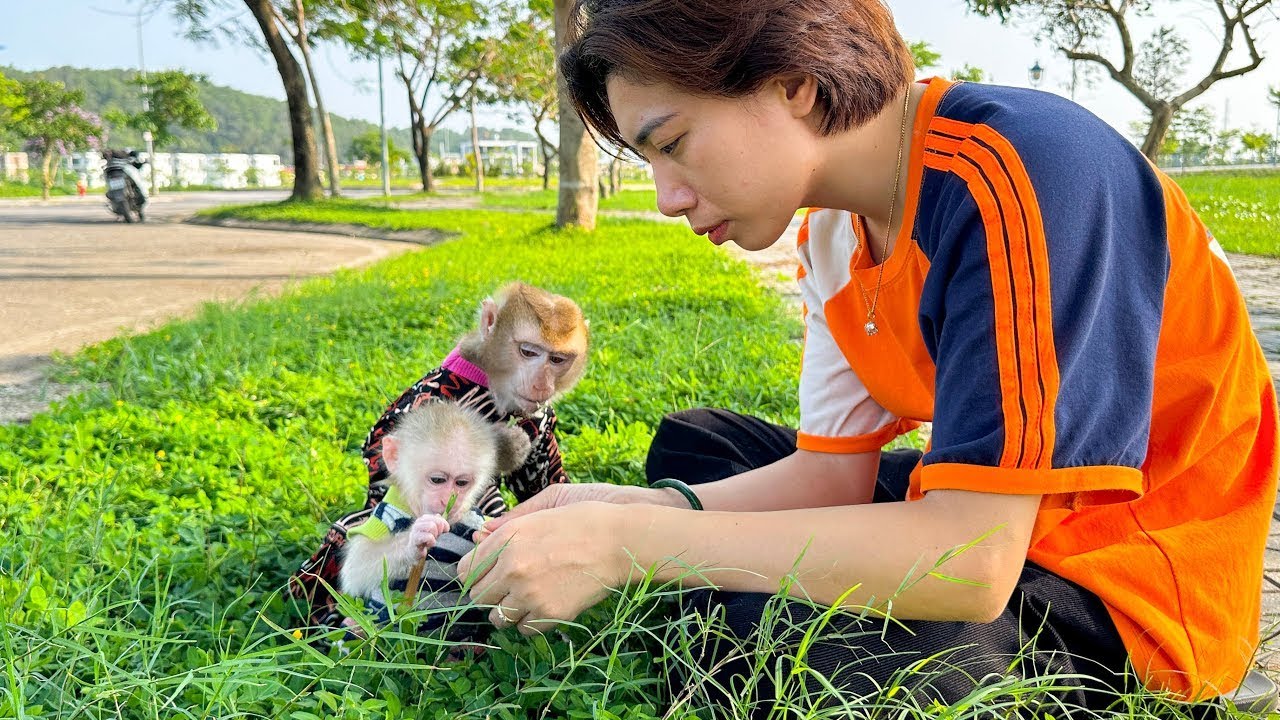 Mom took Monkey Kaka and Monkey Mit to the amusement park.