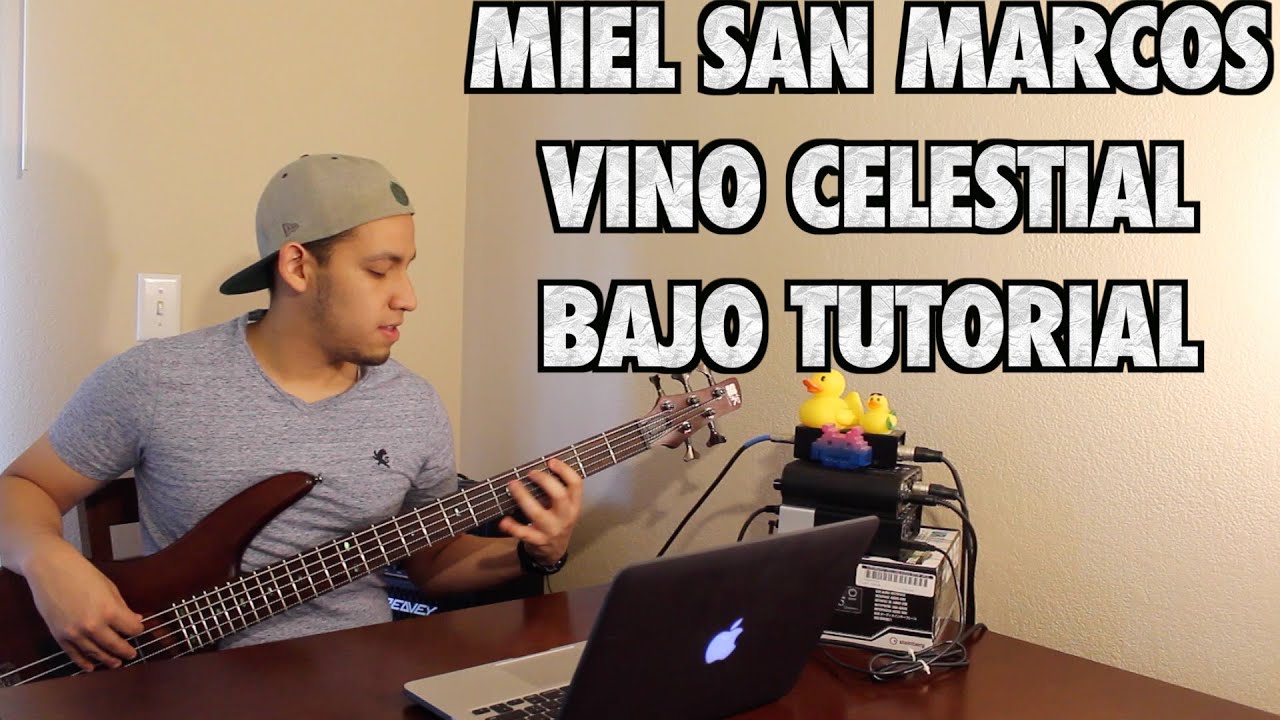 Miel San Marcos Vino Celestial Bajo Tutorial With Tabs (HD)