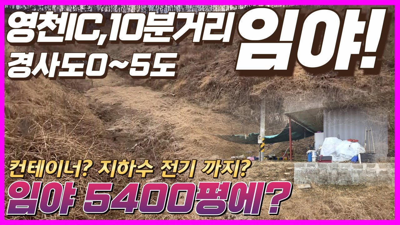 빨리오세요 경사도 0-5도 찾았어요!ㅣ영천IC 10분거리 컨테이너 지하수까지 미친 임야!! #영천땅 #영천임야 #영천부동산 