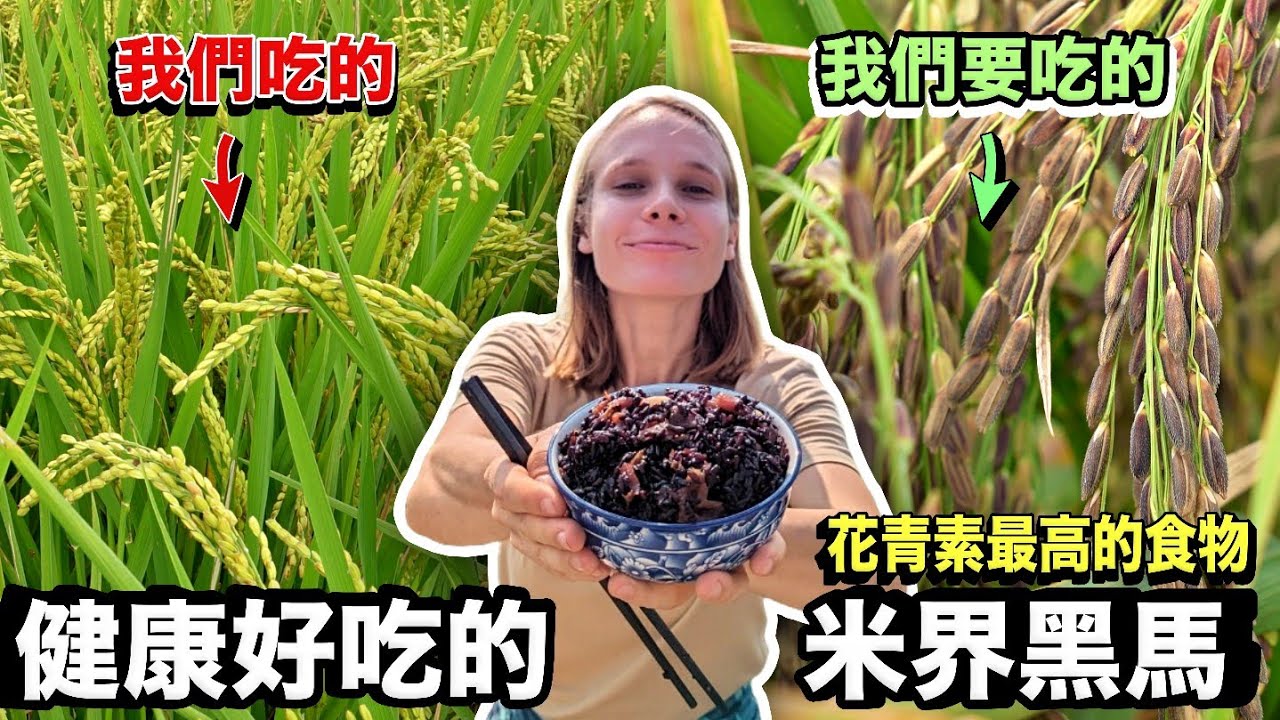 古代的宮廷養身珍品！吃這種米讓你皮膚自然發光？ 讓外國人念念不忘的台灣味！揭曉高級餐廳米飯的秘辛！彰化旅遊新景點