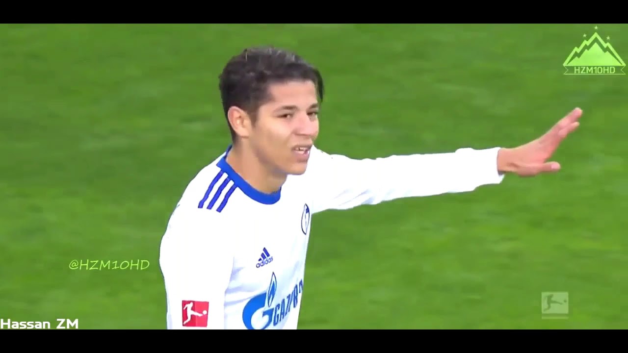 Amine harit●2019 skills (havana)