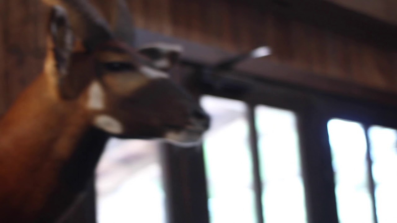 Day in the life- OX RANCH