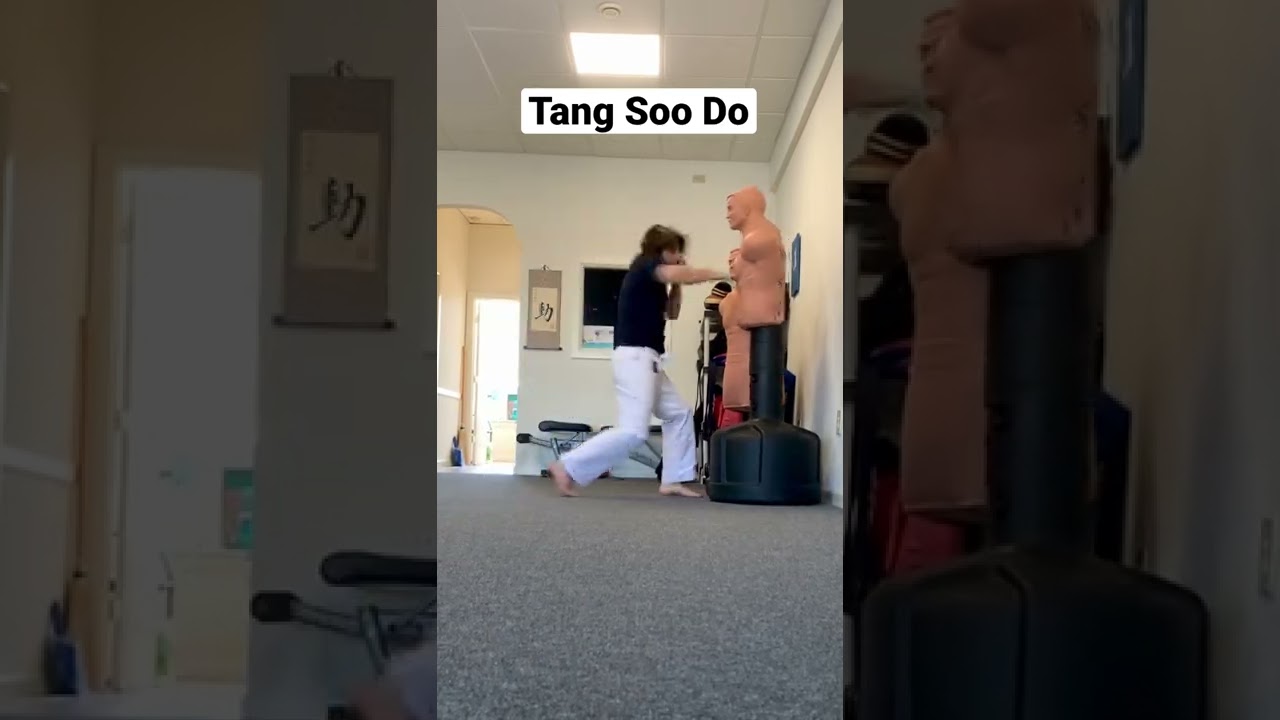 Tang Soo Do Striking