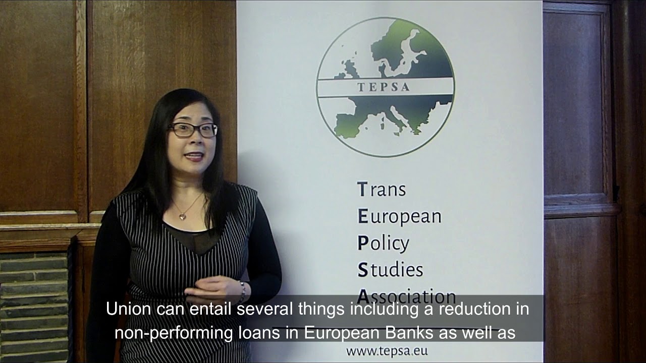 TEPSA Explainer: The future of Economic and Monetary Union