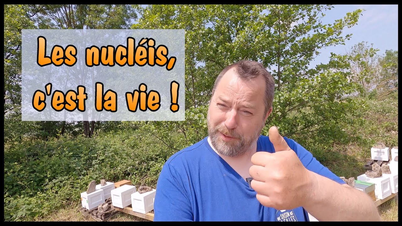 courte visite de nucs !