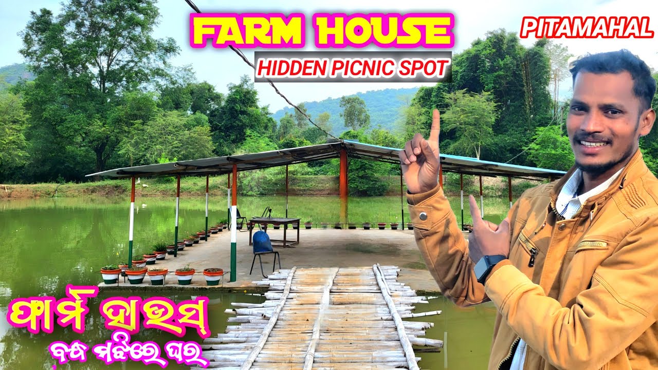 Farm House Pitamahal. ଏଠି ବନ୍ଧ ମଝିରେ ଘର ଅଛି | Best Picnic Place. | vlogger bonty.