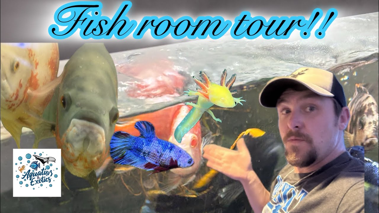 Tank Tour 1/30/2026