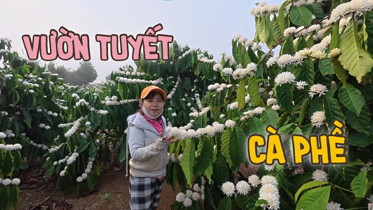 Mùng 8 Vợ Chồng Bé Bỏng Đã Hoàn Thành Công Việc Sớm Để Chuẩn Bị Chuyến Đi Tiếp Theo || VCBB