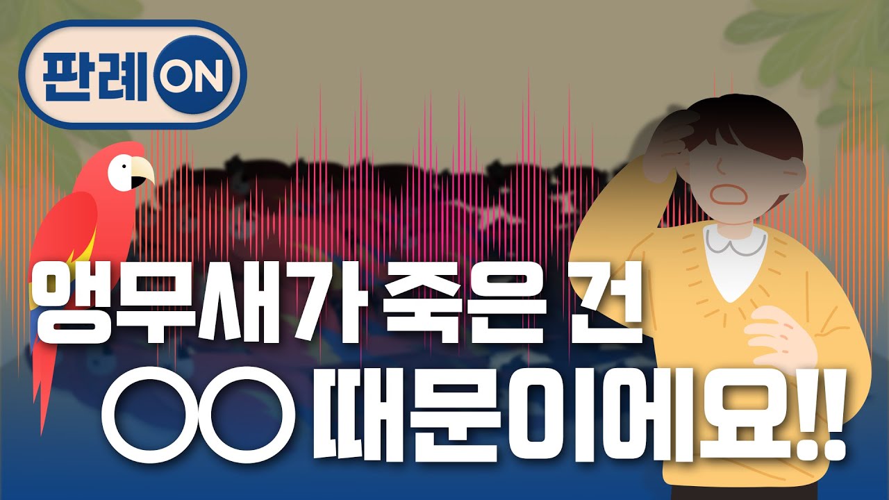 [대법원 판례 온] ep 15. 앵무새가 죽은건 ○○ 때문이니 손해배상을 청구합니다! (대한민국 법원의 날 기념, 보고 듣는 재판 이야기)