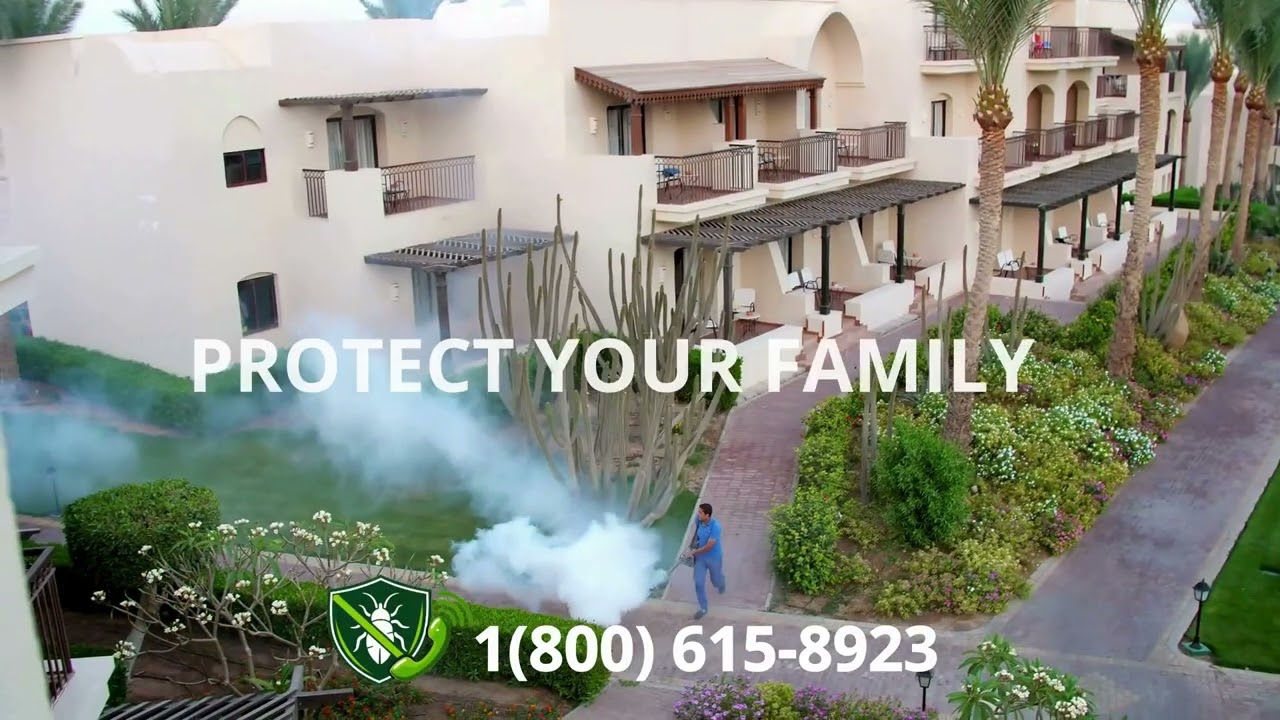 Top 3 Bed Bug Removal in Buford