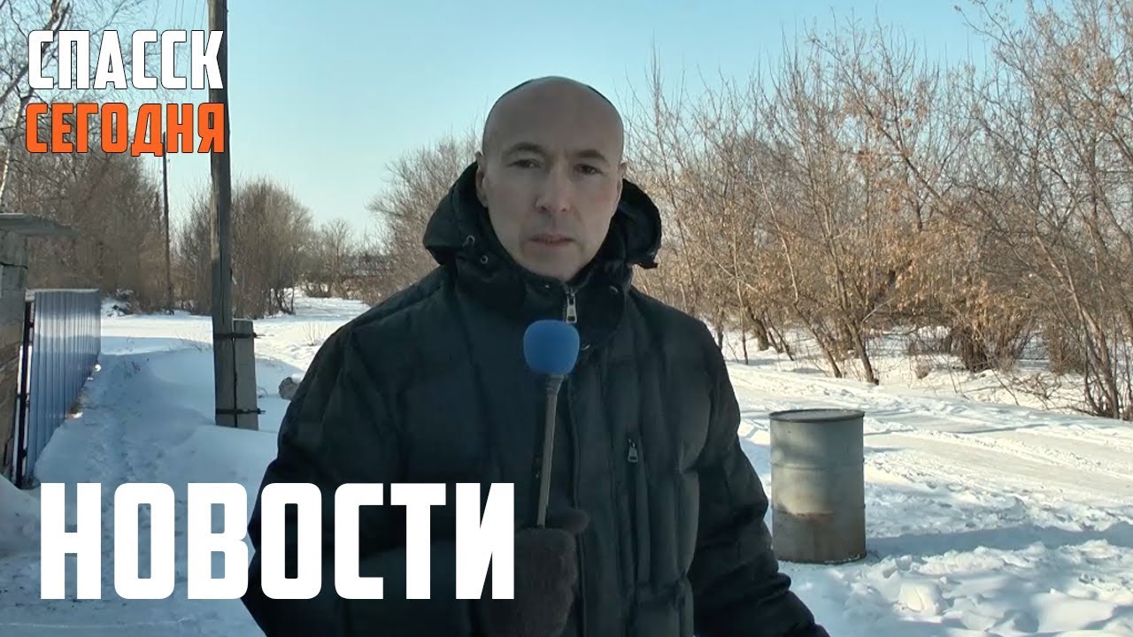 Село подвергается нападению лошадей. Спасск-Дальний