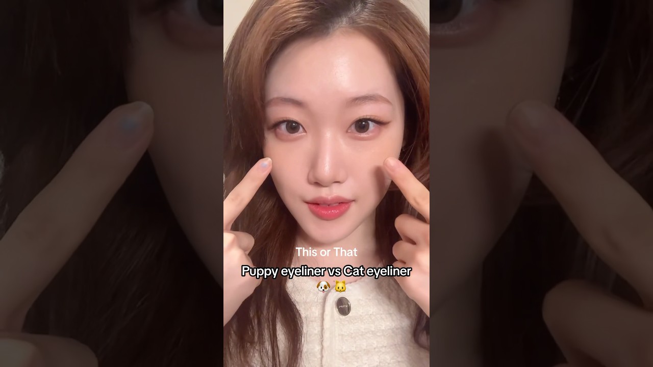 Puppy eyeliner🐶 vs. Cat eyeliner🐱-Which one will you choose? #makeup #kbeauty #eyeliner