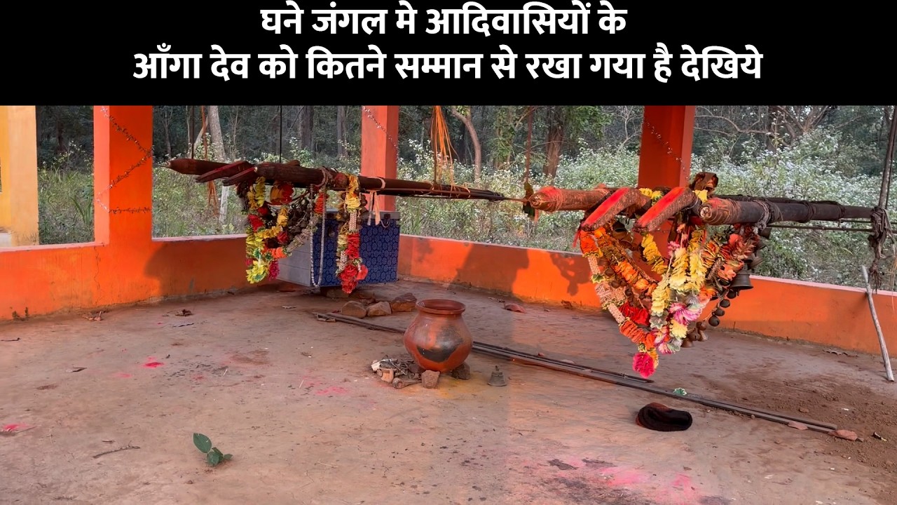 घने जंगल मे आदिवासियों के आँगा देव को कितने सम्मान से रखा गया है देखिये