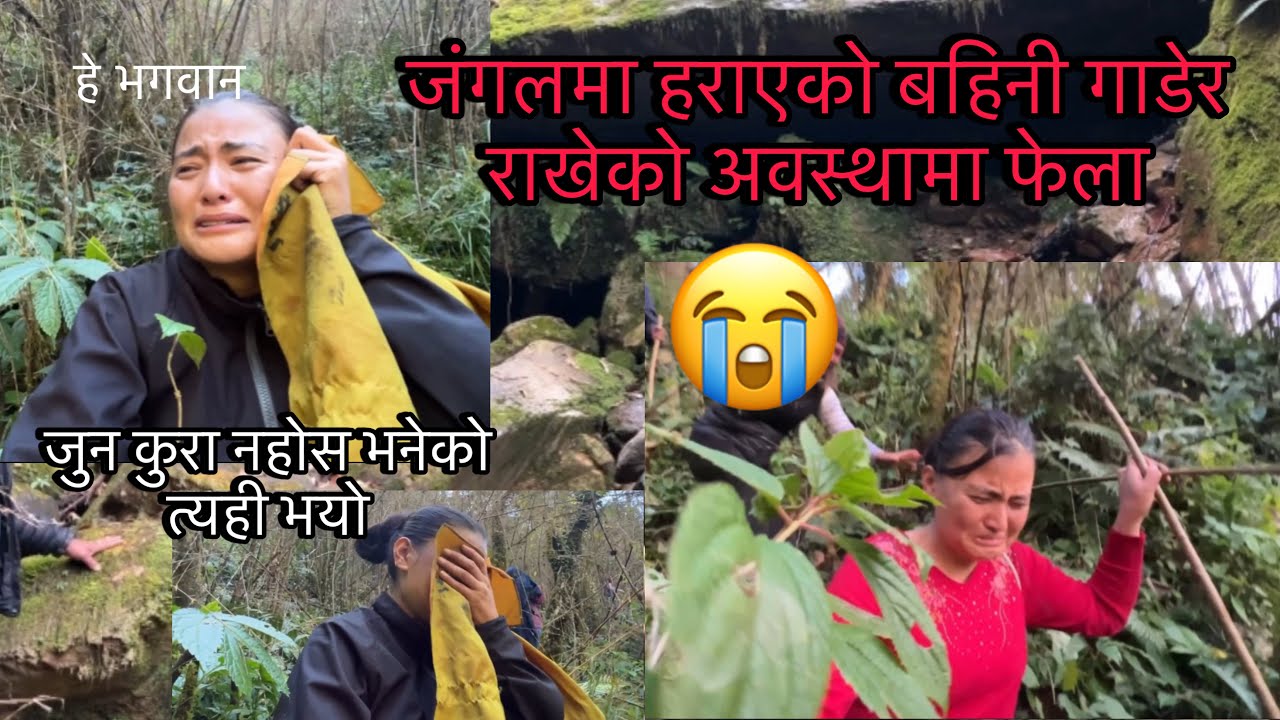 जुन कुरा नहोस भनेको त्यही भयो😭जंगलमा हराएको बहिनी माटोमा गाडेर राखेको अवस्थामा ४दिनपछि फेला। घटना
