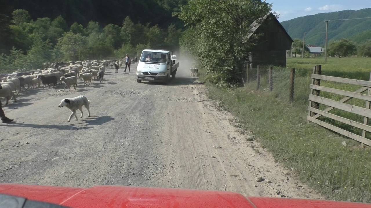Road from Dubowe to DeutschMokra (Ukraine) with Bremach camper