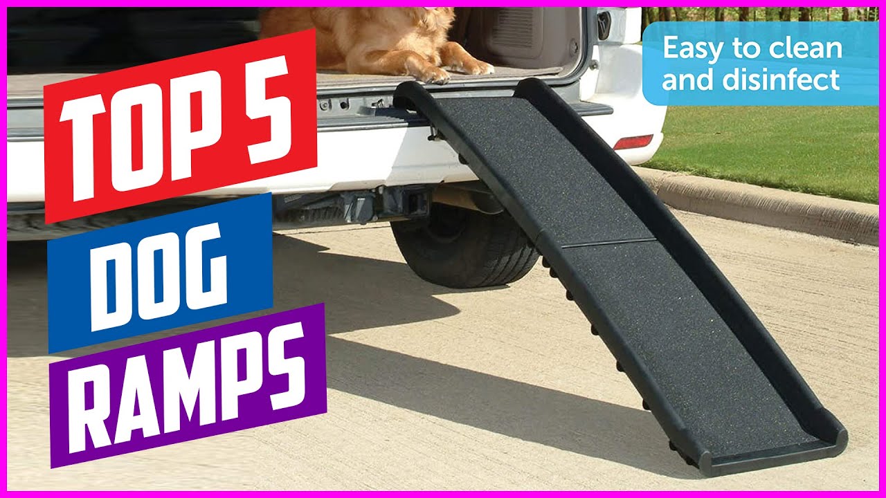 Top 5 Best Dog Ramps for Car in 2020