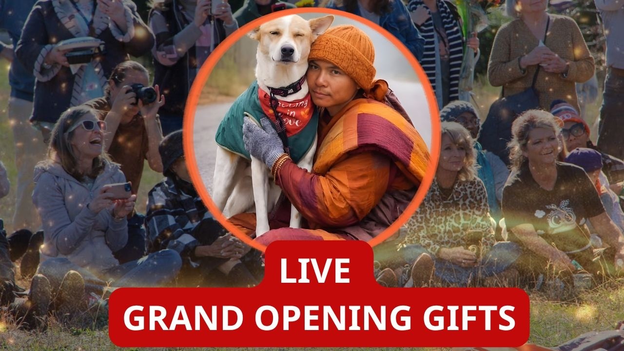 Livestream: Grand Opening Gifts – A Thank You from the Community