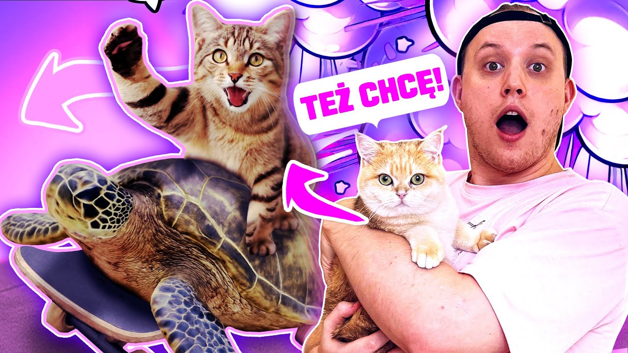 ŚMIESZNE PSIAKI I KOCIAKI !