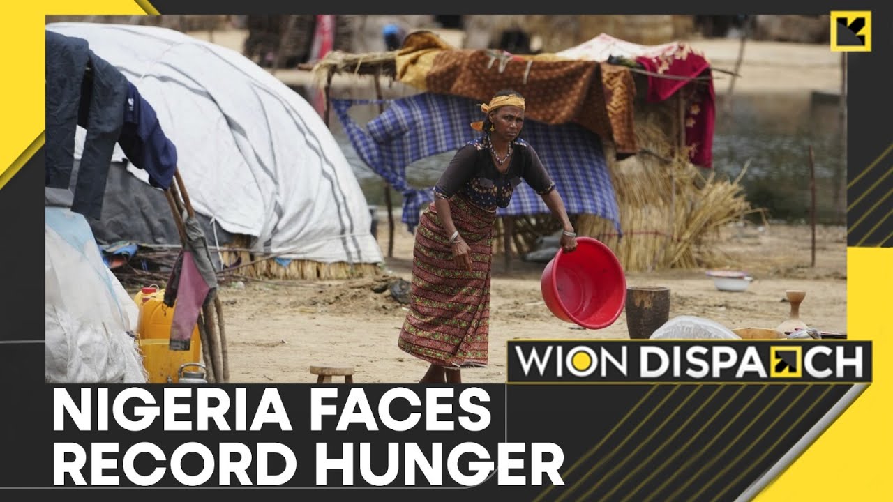 UN: 35 Million Could Run Out of Food by 2026 | WION DISPATCH