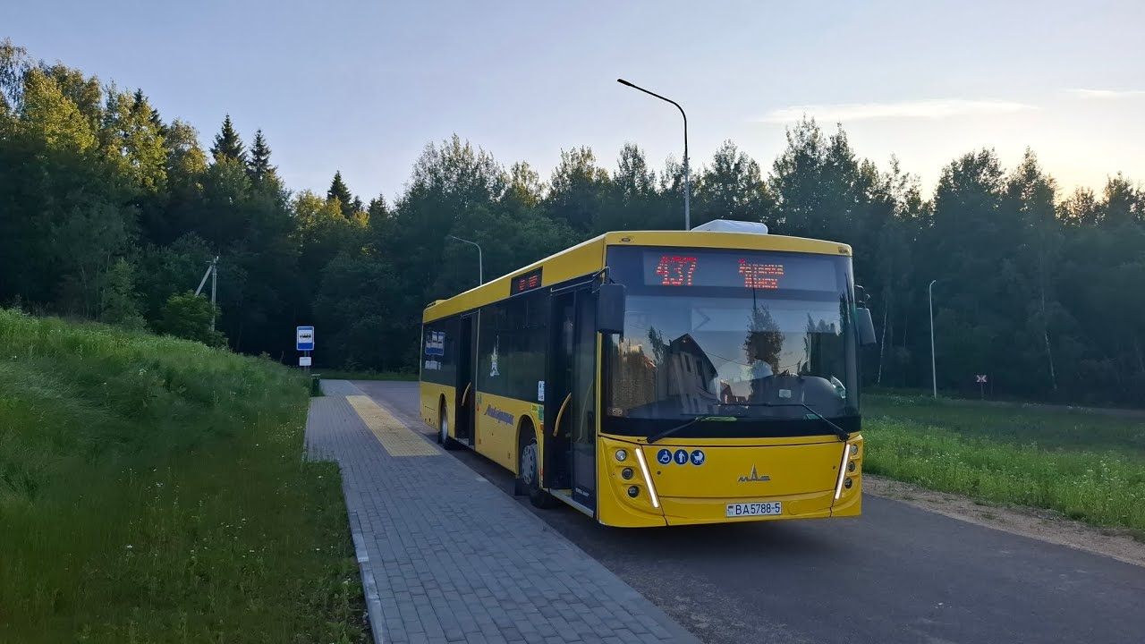 Поездка на автобусе МАЗ 203.147 гос номер ВА 5788-7 маршрут 437