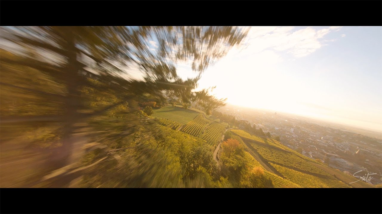 4K - Weinbiet Sunrise - Neustadt an der Weinstraße - Cinematic FPV