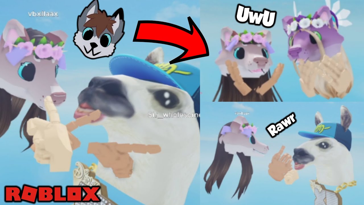 ROBLOX VR FURRY EDITION