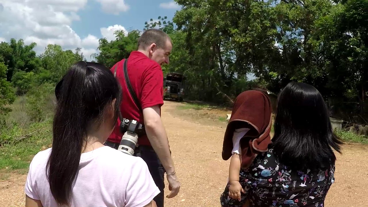 Trip to the farm