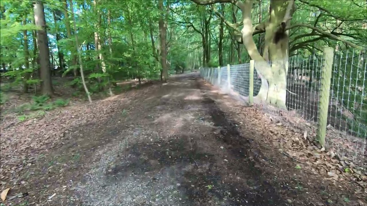 Alton Towers - Woodland Walk From Forbidden Valley To Hotels - May 2019 |  kittikoko