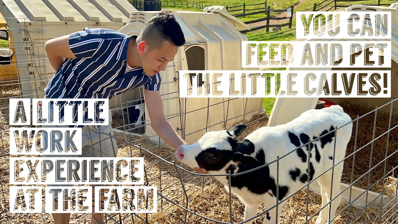 Farm Trip to Lancaster | One of the oldest inland cities in the United States