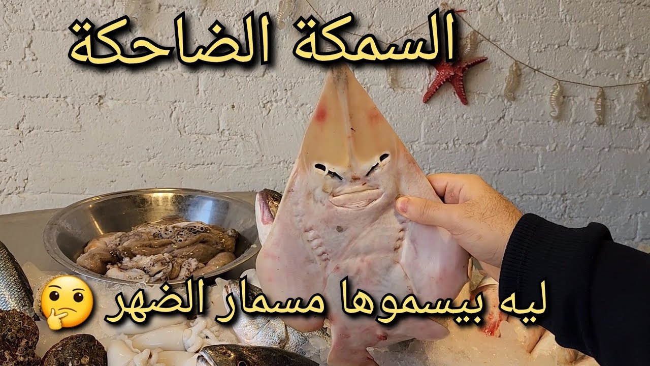 طريقة عمل شوربة السمك او شوربة مسمار الضهر