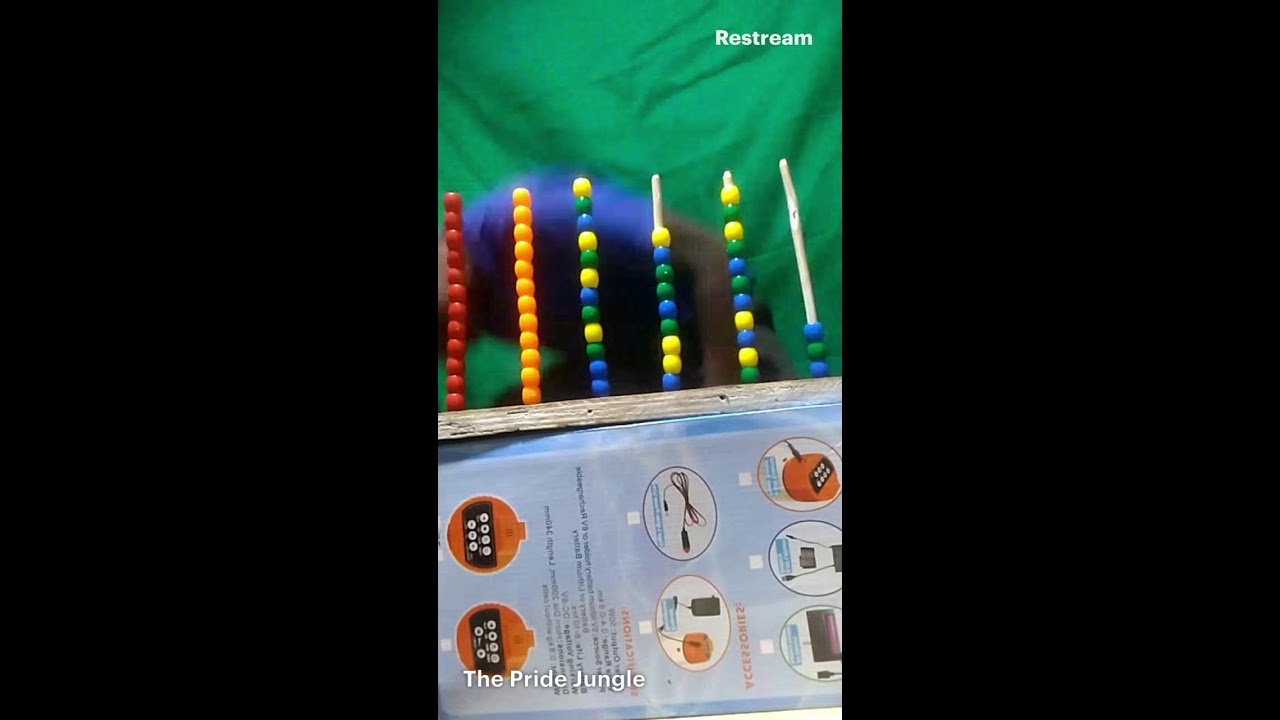 IQ TEST