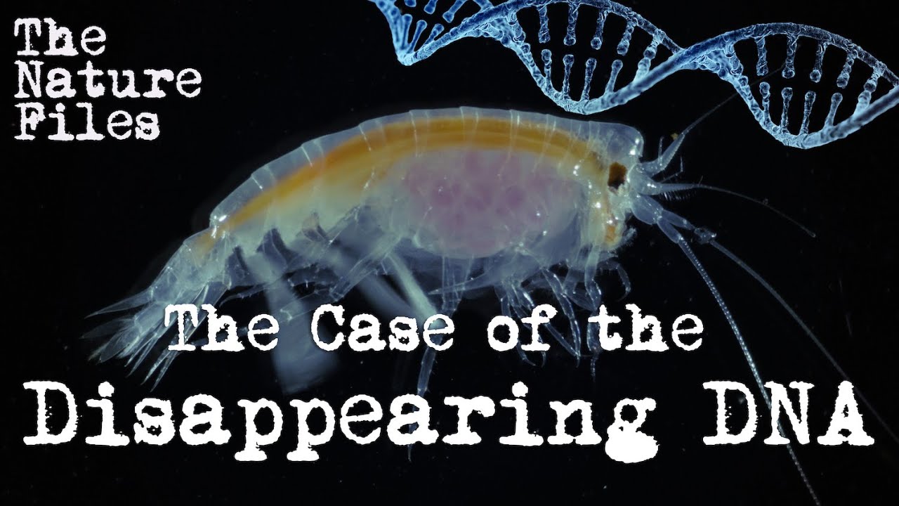 The Nature Files (Ep. 2): The Case of the Disappearing DNA