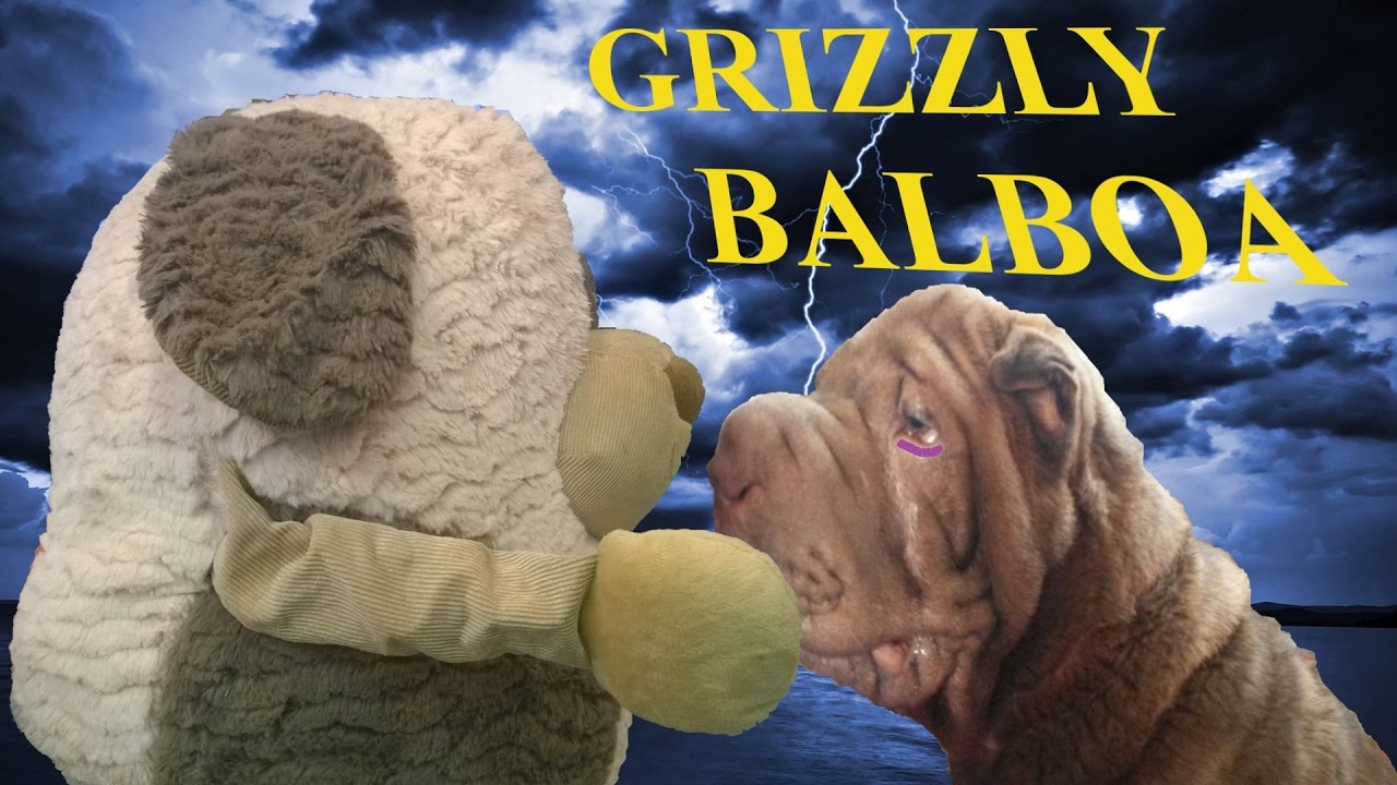 Shar Pei GRIZZLY # 16 