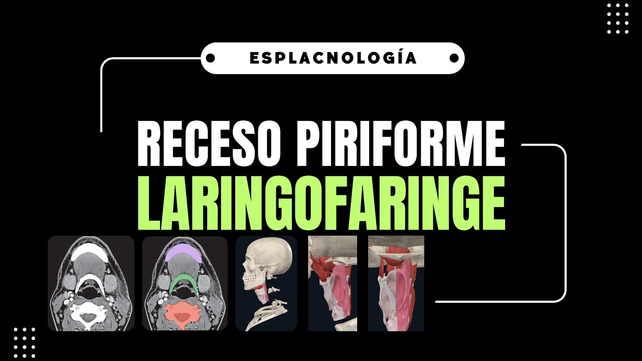 🧠¿Sabés qué es el receso piriforme y por qué es clave en anatomía del cuello?