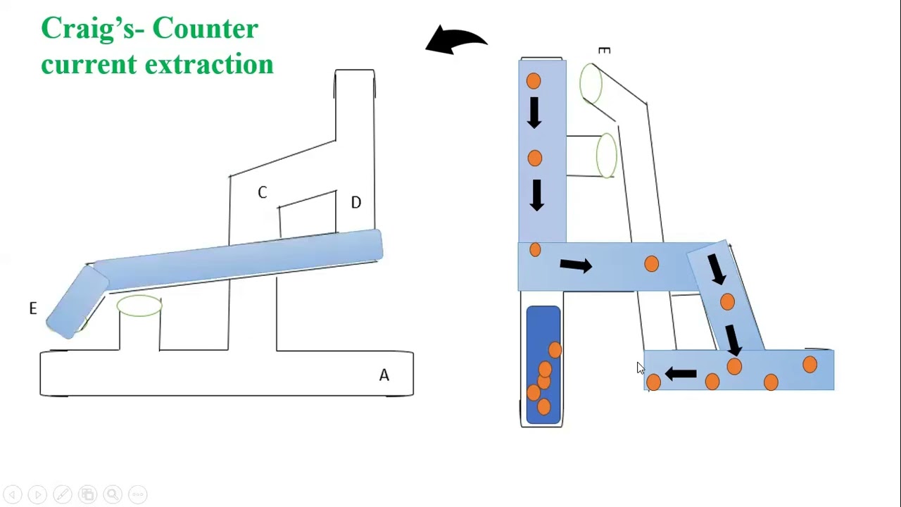 Counter current and froth flotation extraction