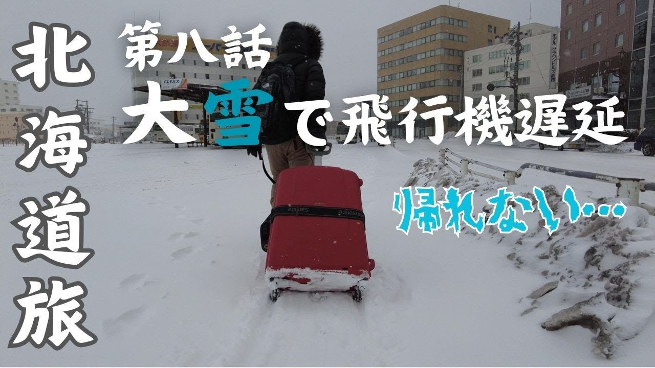 雪による遅延、JAL特典航空券【4泊5日夫婦旅in北海道＃8】