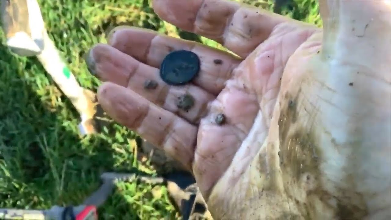 #01 Digging a Roman Road - 18 Jan 20