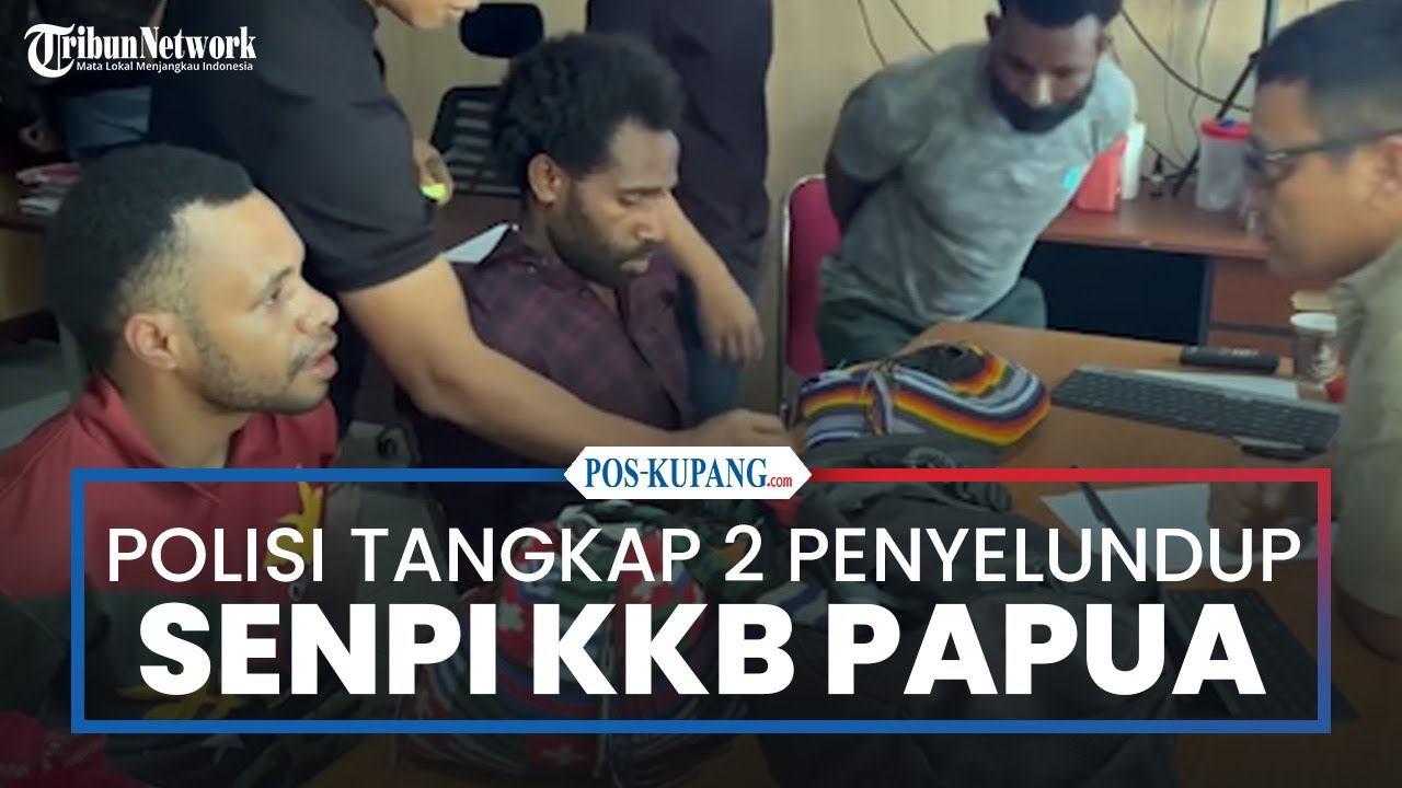 Polisi Tangkap 2 Orang Penyelundup Senpi ke KKB Papua
