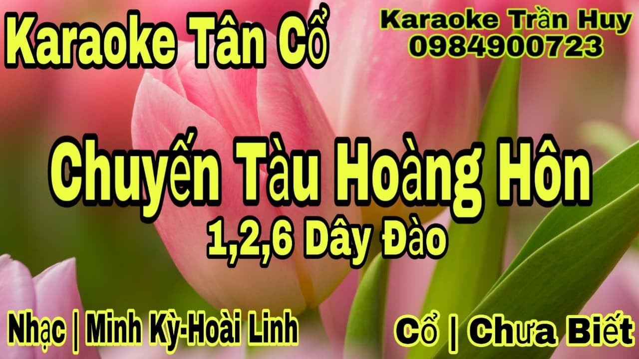 Karaoke Tân Cổ | Chuyến Tàu Hoàng Hôn | 1,2,6 Dây Đào | Beat Trần Huy 2020