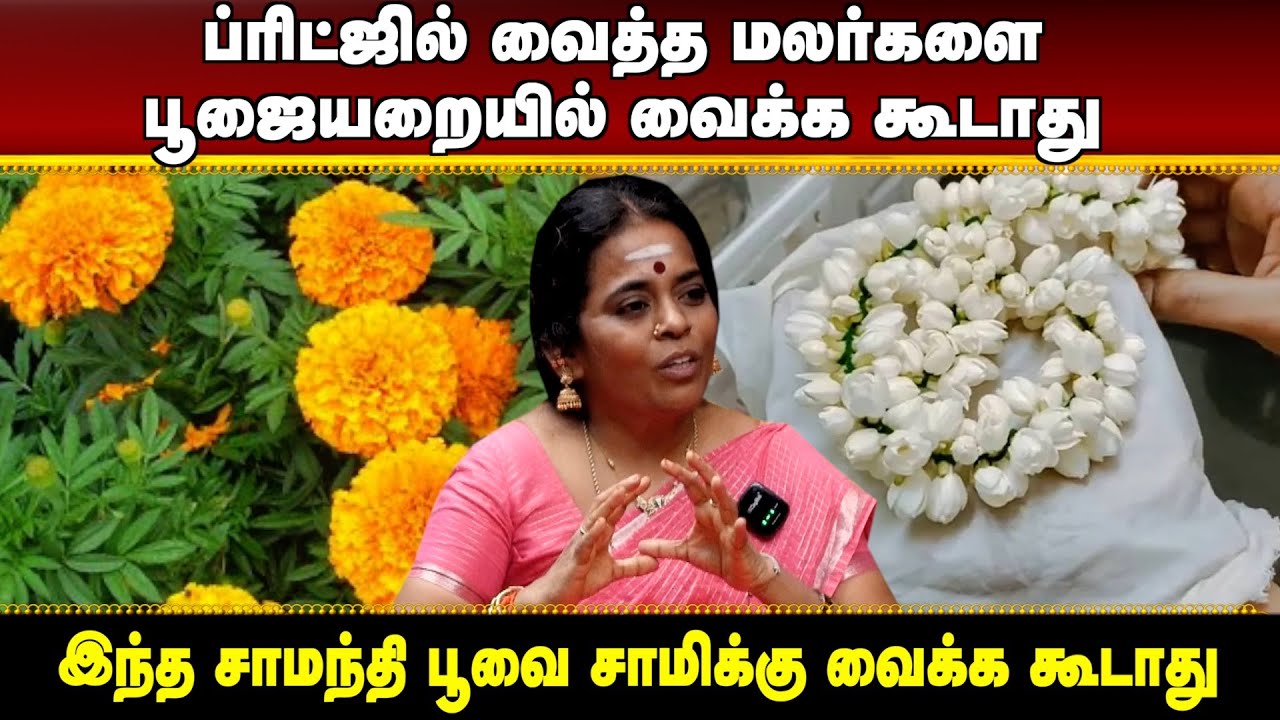 இந்த சாமந்தி பூவை சாமிக்கு வைக்க கூடாது ஏன் தெரியுமா? | #aanmeegaula